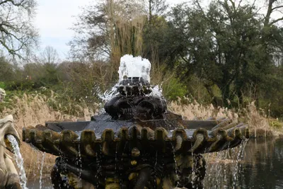 DSC_6902 (Large).JPG